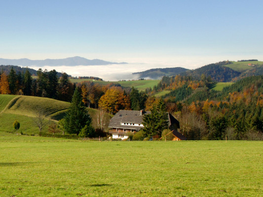 Schwarzwald, Deutschland